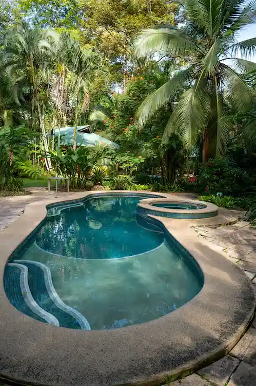 Tropical Pool Garden