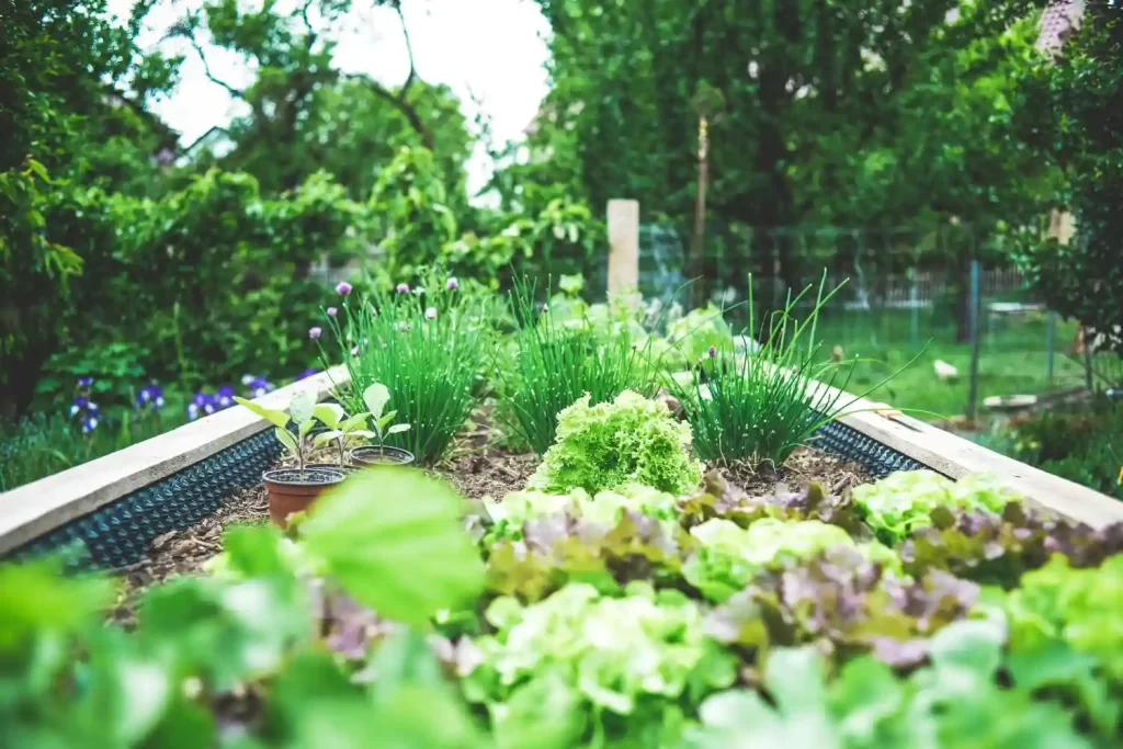 urban garden perth